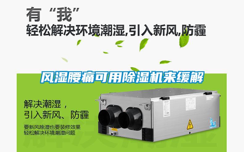 風(fēng)濕腰痛可用除濕機(jī)來(lái)緩解