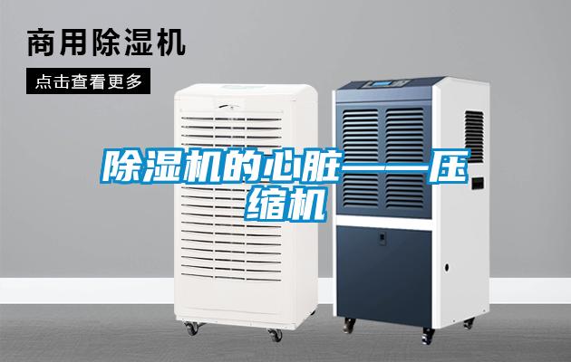 除濕機(jī)的心臟——壓縮機(jī)