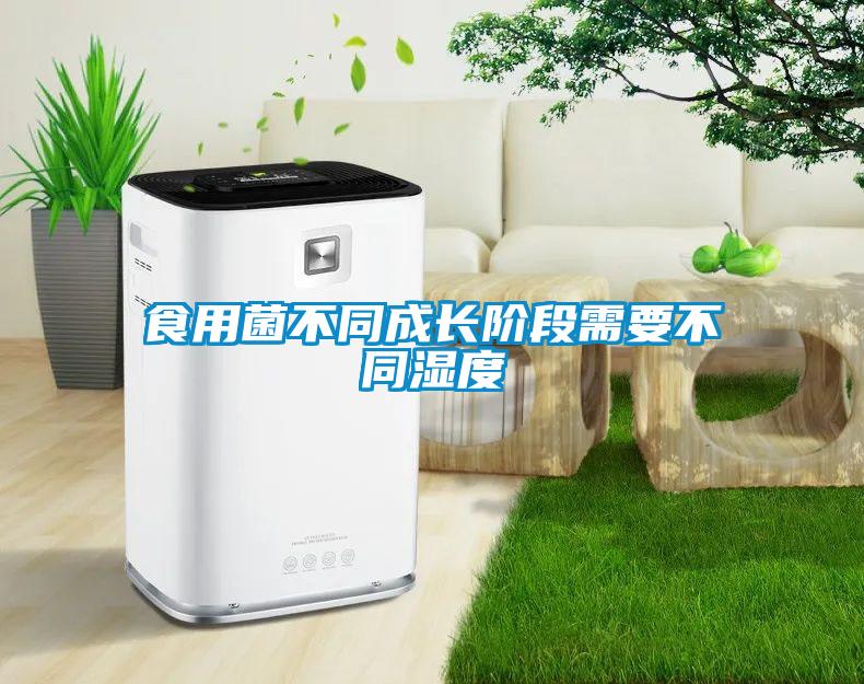 食用菌不同成長(zhǎng)階段需要不同濕度