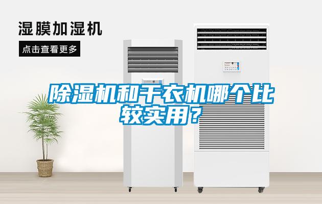 除濕機和干衣機哪個比較實用？