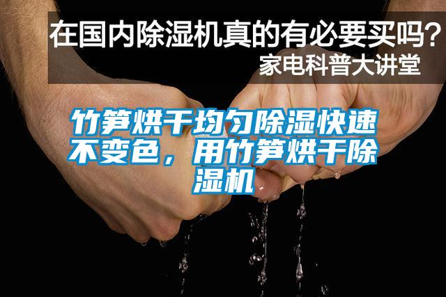 竹筍烘干均勻除濕快速不變色，用竹筍烘干除濕機