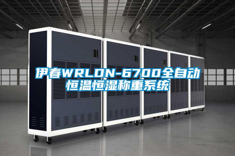 伊春WRLDN-6700全自動(dòng)恒溫恒濕稱重系統(tǒng)