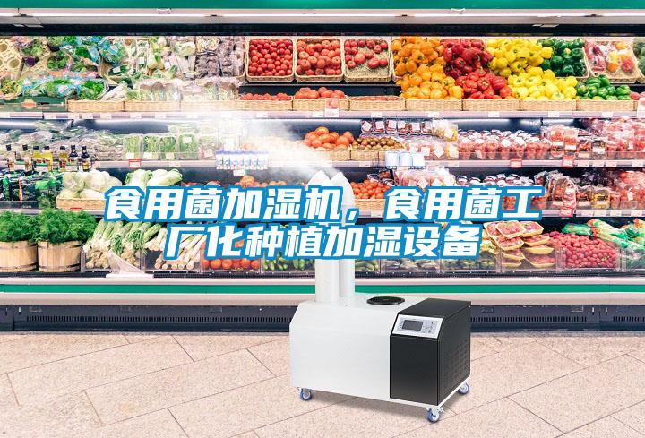 食用菌加濕機，食用菌工廠化種植加濕設備