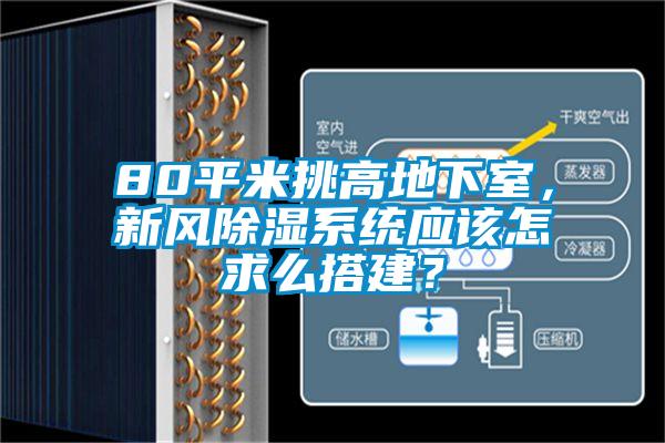 80平米挑高地下室，新風(fēng)除濕系統(tǒng)應(yīng)該怎求么搭建？