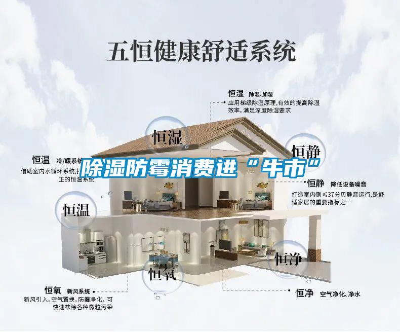 除濕防霉消費進“牛市”