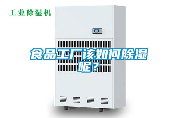 食品工廠該如何除濕呢？