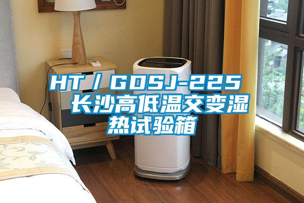 HT／GDSJ-225  長(zhǎng)沙高低溫交變濕熱試驗(yàn)箱