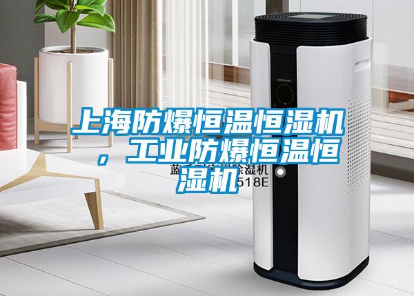 上海防爆恒溫恒濕機 ，工業(yè)防爆恒溫恒濕機