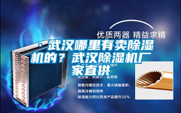 ·武漢哪里有賣(mài)除濕機(jī)的？武漢除濕機(jī)廠(chǎng)家直供