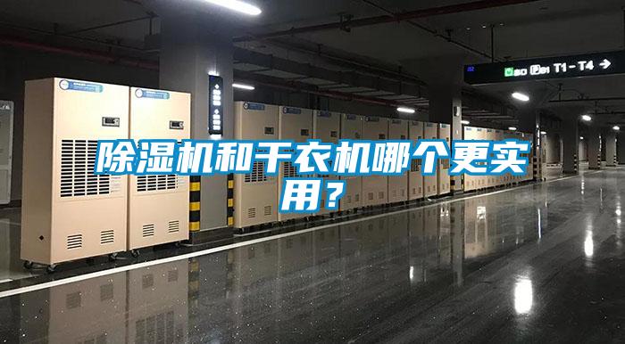 除濕機和干衣機哪個更實用？