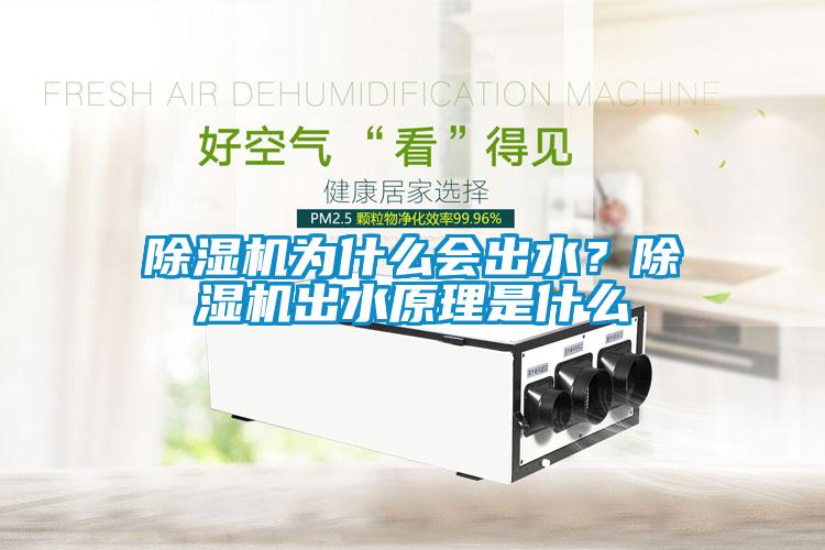 除濕機(jī)為什么會(huì)出水？除濕機(jī)出水原理是什么