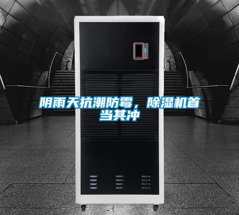陰雨天抗潮防霉，除濕機首當(dāng)其沖