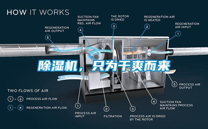除濕機，只為干爽而來