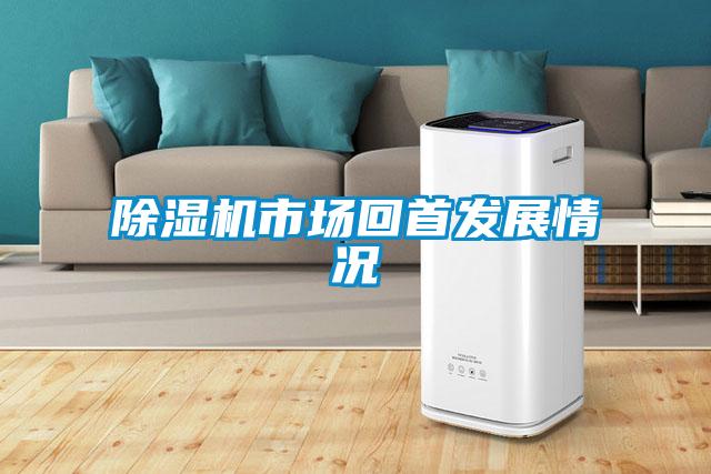 除濕機(jī)市場(chǎng)回首發(fā)展情況