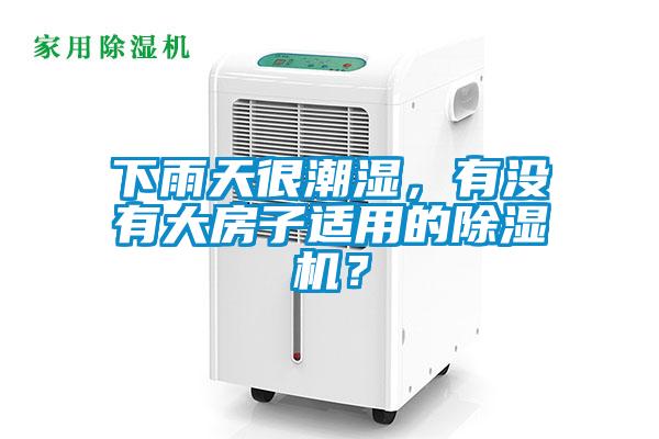 下雨天很潮濕，有沒有大房子適用的除濕機？