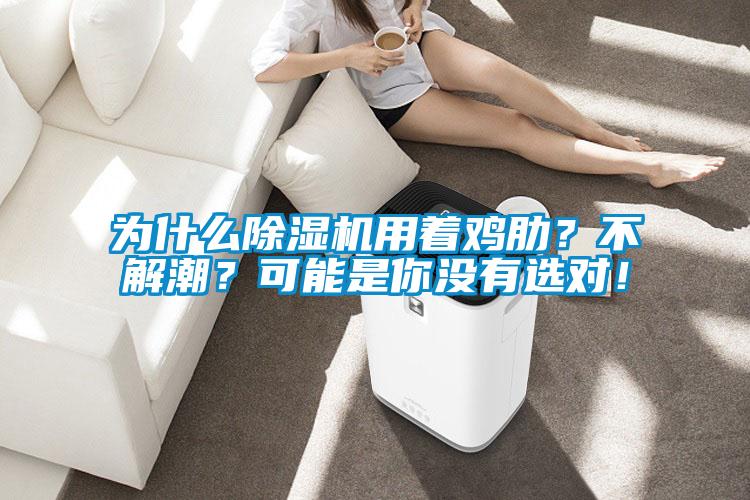 為什么除濕機用著雞肋？不解潮？可能是你沒有選對！