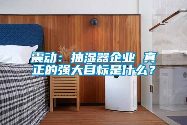 震動(dòng)：抽濕器企業(yè) 真正的強(qiáng)大目標(biāo)是什么？
