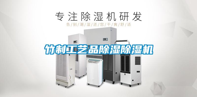 竹制工藝品除濕除濕機(jī)