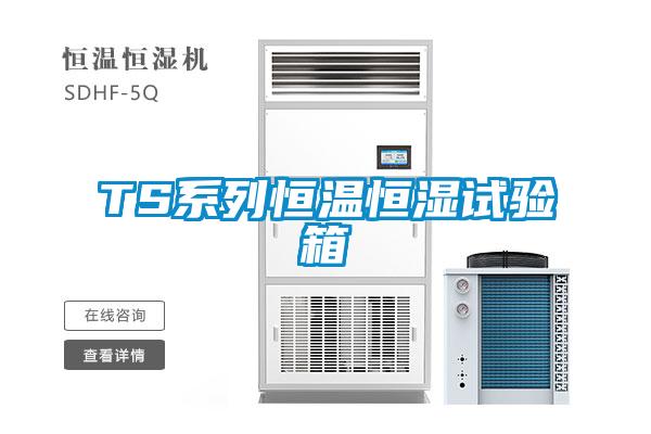TS系列恒溫恒濕試驗(yàn)箱