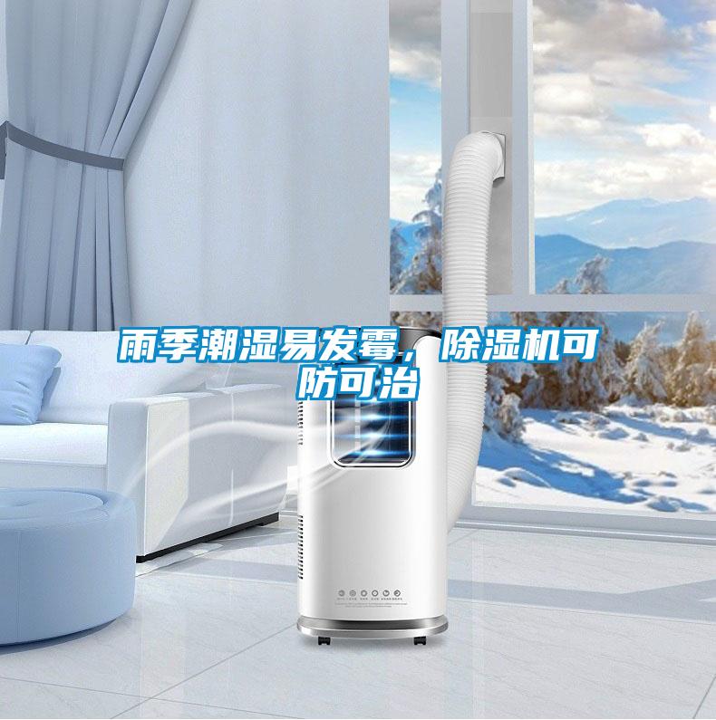 雨季潮濕易發(fā)霉，除濕機可防可治