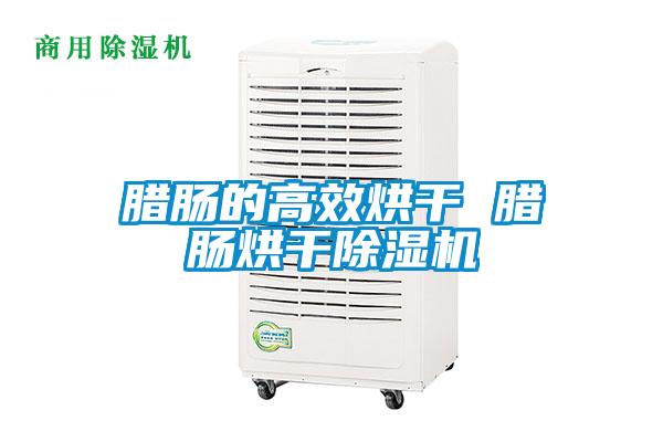 臘腸的高效烘干 臘腸烘干除濕機(jī)
