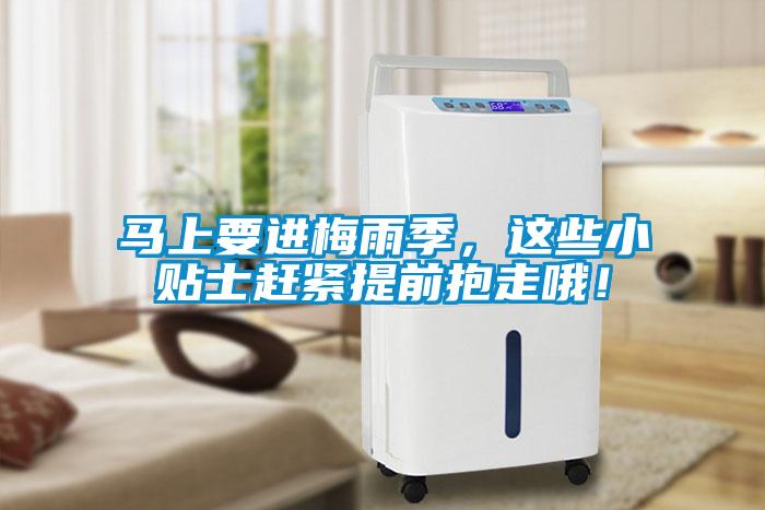馬上要進(jìn)梅雨季，這些小貼士趕緊提前抱走哦！