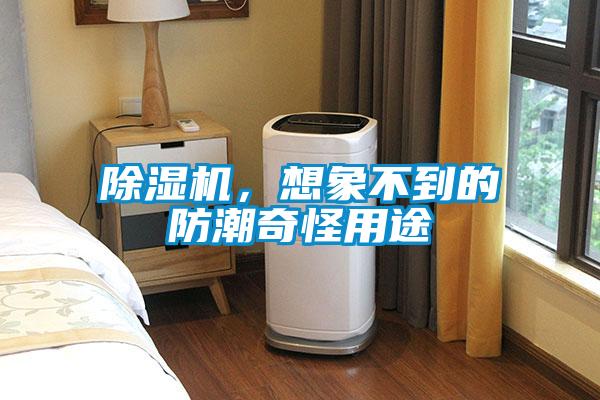 除濕機(jī)，想象不到的防潮奇怪用途