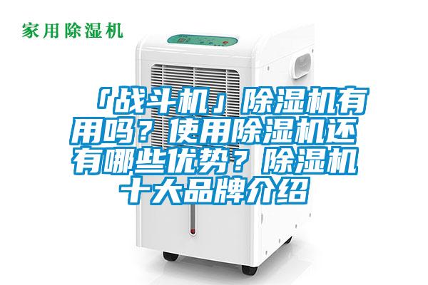 「戰(zhàn)斗機(jī)」除濕機(jī)有用嗎？使用除濕機(jī)還有哪些優(yōu)勢？除濕機(jī)十大品牌介紹