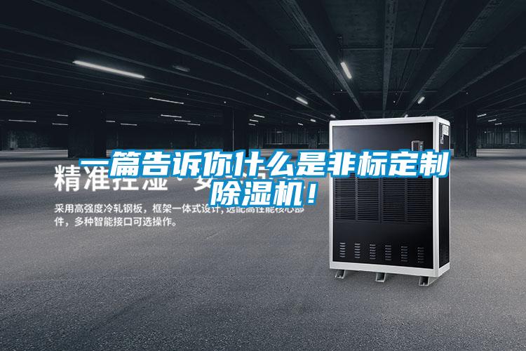 一篇告訴你什么是非標(biāo)定制除濕機(jī)！