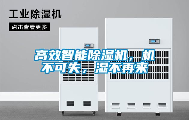 高效智能除濕機，機不可失，濕不再來
