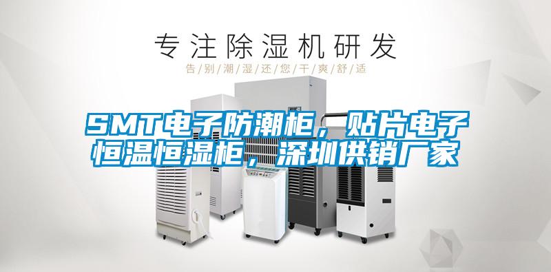 SMT電子防潮柜，貼片電子恒溫恒濕柜，深圳供銷廠家