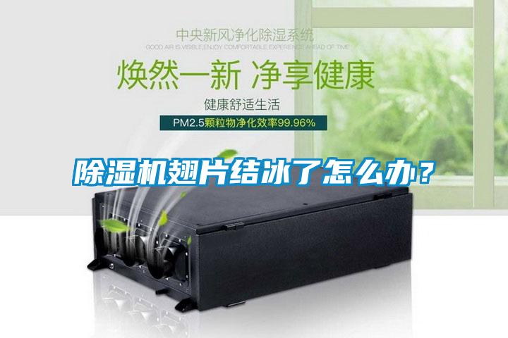 除濕機翅片結(jié)冰了怎么辦？