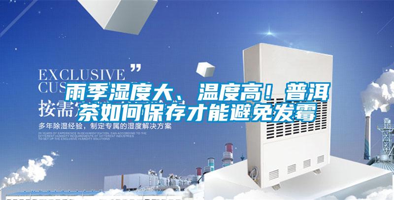 雨季濕度大、溫度高！普洱茶如何保存才能避免發(fā)霉
