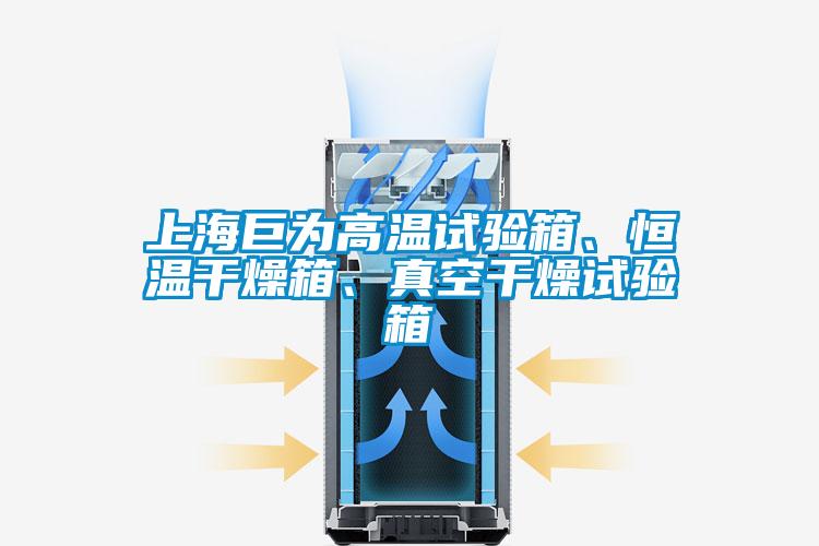 上海巨為高溫試驗(yàn)箱、恒溫干燥箱、真空干燥試驗(yàn)箱