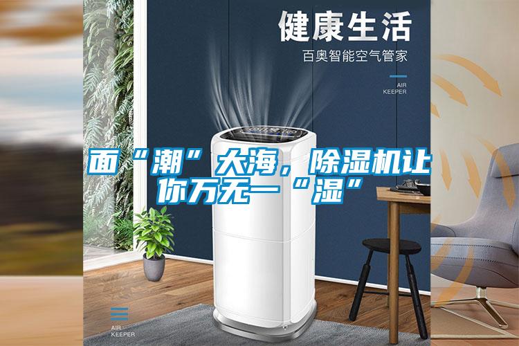 面“潮”大海，除濕機(jī)讓你萬無一“濕”