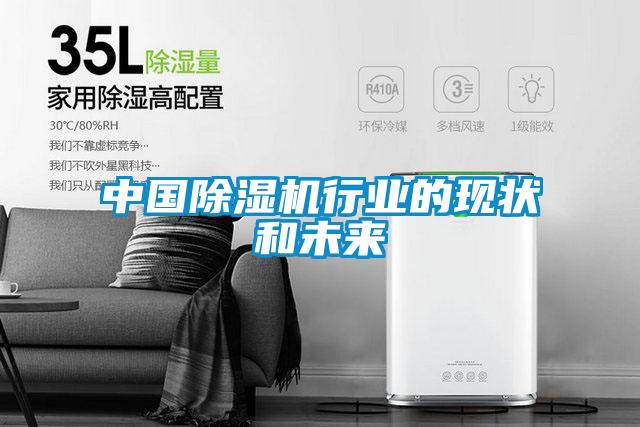 中國(guó)除濕機(jī)行業(yè)的現(xiàn)狀和未來(lái)