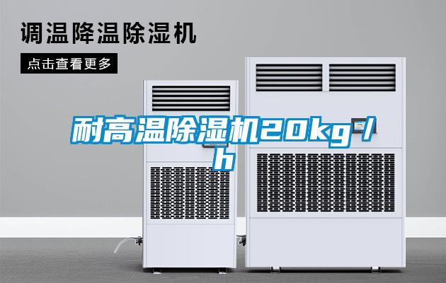 耐高溫除濕機(jī)20kg／h