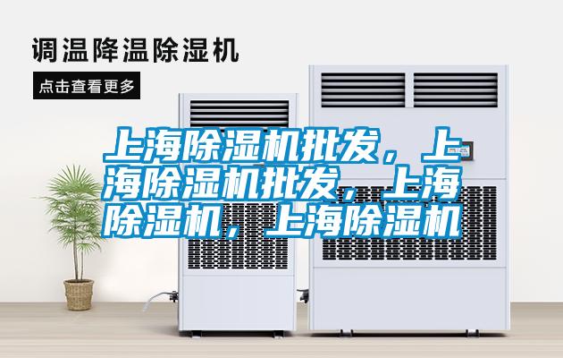 上海除濕機(jī)批發(fā)，上海除濕機(jī)批發(fā)，上海除濕機(jī)，上海除濕機(jī)