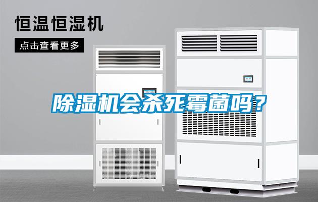 除濕機(jī)會殺死霉菌嗎？