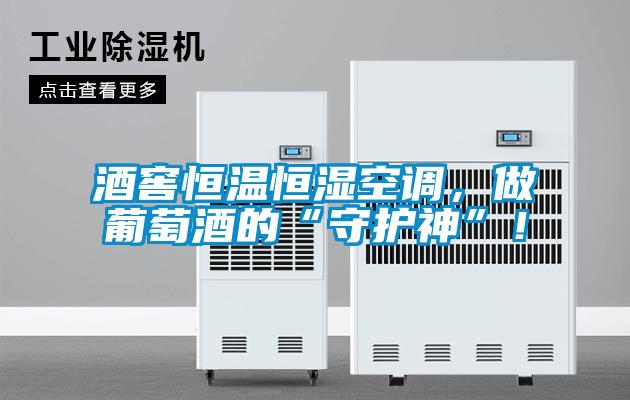 酒窖恒溫恒濕空調(diào)，做葡萄酒的“守護(hù)神”！