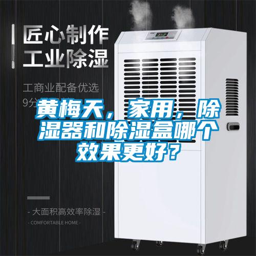 黃梅天，家用，除濕器和除濕盒哪個效果更好？