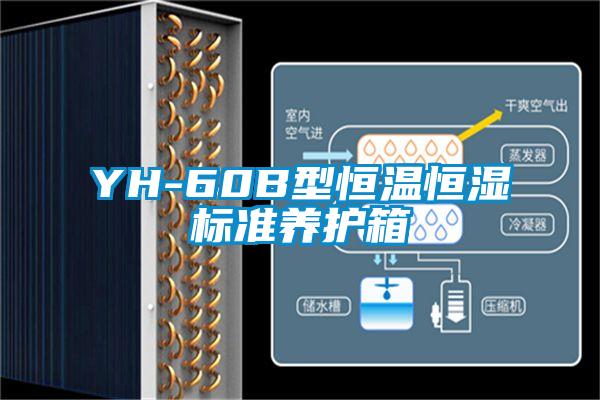 YH-60B型恒溫恒濕標(biāo)準(zhǔn)養(yǎng)護(hù)箱