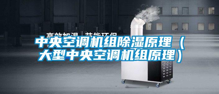 中央空調(diào)機組除濕原理（大型中央空調(diào)機組原理）