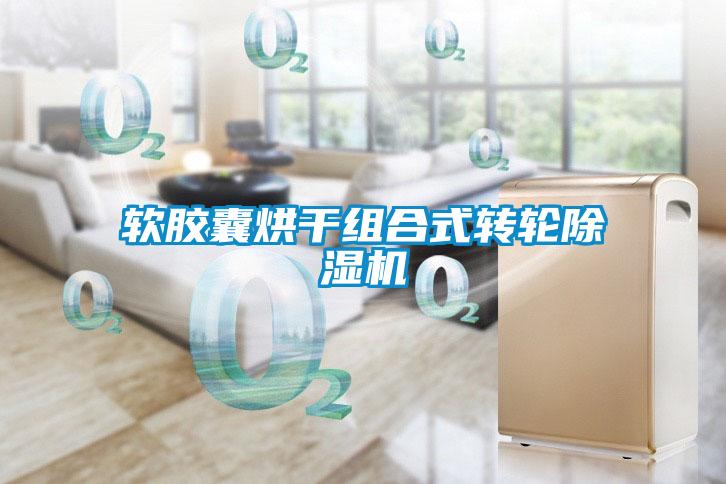 軟膠囊烘干組合式轉(zhuǎn)輪除濕機(jī)