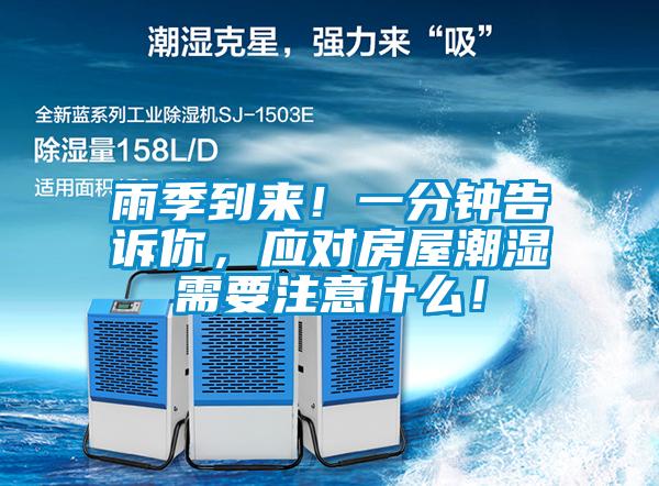 雨季到來！一分鐘告訴你，應(yīng)對房屋潮濕需要注意什么！