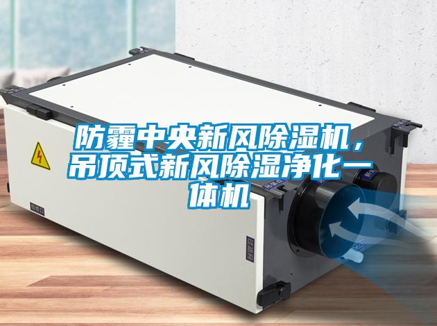 防霾中央新風(fēng)除濕機，吊頂式新風(fēng)除濕凈化一體機