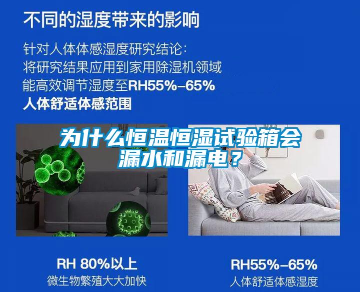 為什么恒溫恒濕試驗(yàn)箱會(huì)漏水和漏電？
