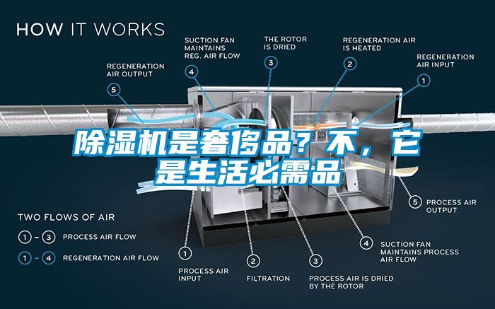除濕機是奢侈品？不，它是生活必需品