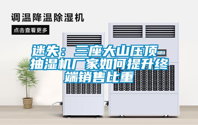 迷失：三座大山壓頂 抽濕機(jī)廠家如何提升終端銷(xiāo)售比重