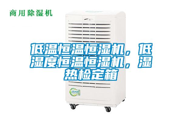 低溫恒溫恒濕機，低濕度恒溫恒濕機，濕熱檢定箱